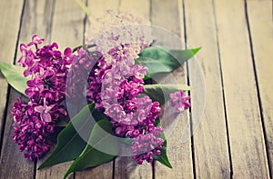 Spring background. Beautiful fresh lilac violet flowers