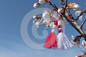 Spring background with blossom and Bulgarian symbol of spring martenitsa. March 1 tradition martisor and spring flowers