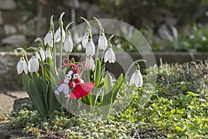 Spring background. Blossom snowdrops, martenitsa or martishor. Bulgarian symbol of begining of spring, March 1 holliday