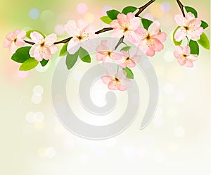 Spring background with blossoming tree