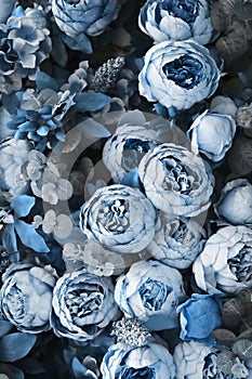 Spring background with classic blue peonies.