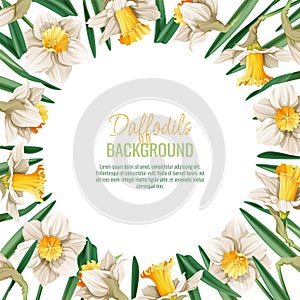 Spring background with daffodils. Postcard, banner for Easter. Spring time. Frame with delicate spring flowers.
