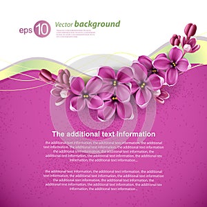 Spring background for the design