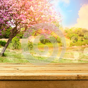 Spring background. Empty wooden deck table for product montage