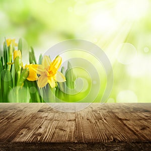 Spring background with flowers and wooden table