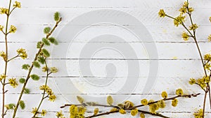 Spring background frame of flowering willow twigs and dogwood on white wooden background