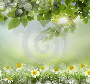 Spring background