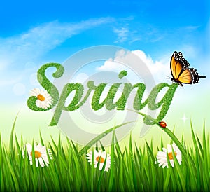 Spring background with grass, sky and a butterfly.