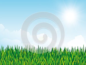 Spring background with grass texture and sun on cloudy sky