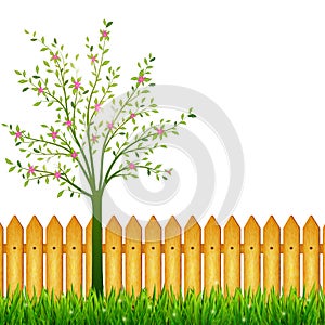 Spring background with green grass, blossoming tree and garden f