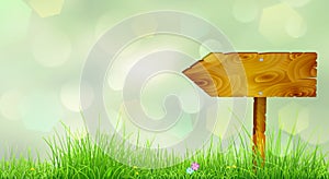 Spring background with green grass