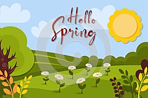 Spring background. Green meadow, Ñamomile, daisy flowers, foliage, trees, sky, cloud, grass. Nature landscape template. Summer