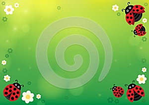 Spring background with ladybugs 1