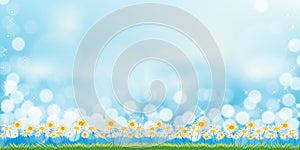 Spring Background,Nature Landscape white chamomiles flower field with bokeh sunlight reflection from sky blue in morning.Vector