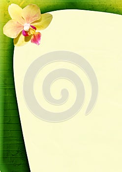 Spring background with an orchid