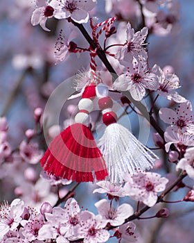 Spring background with pink blossom and Bulgarian spring symbol - martenitsa. Spring flowers, springtime. Greeting card