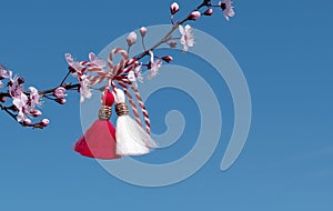 Spring background with pink blossom and Bulgarian symbol of spring - martenitsa. Spring flowers cherry sakura. copyspace