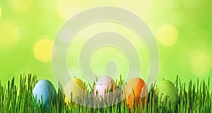 Spring background with row of Easter eggs in green grass