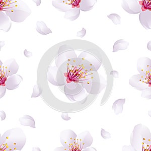 Spring background seamless pattern with sakura blossom