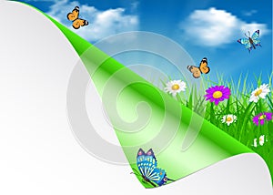 Spring background with sky, flowers, grass