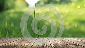 Spring background table. Green washed bokeh background