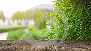 Spring background table. Green washed bokeh background