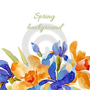 Spring background. Watercolor lowers.