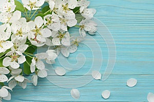 Spring background with white flowers blossoms on blue wooden background. top view