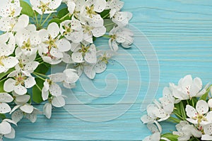 Spring background with white flowers blossoms on blue wooden background. top view