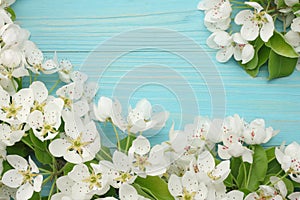 Spring background with white flowers blossoms on blue wooden background. top view