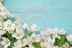 Spring background with white flowers blossoms on blue wooden background. top view