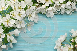 Spring background with white flowers blossoms on blue wooden background. top view