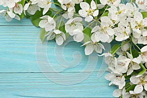 Spring background with white flowers blossoms on blue wooden background. top view