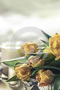 Spring background with yellow tulips, candles and knitted element.