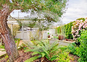 Spring backyard with garden beds