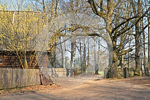 Spring Backyard View Of Traditional Russian Wooden Home With A Wooden Fence, Birches And Birdhouses. Fenced Backyard, With View Of