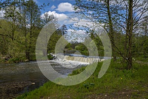 Spring on the banks of the Warta River, Poland.