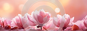 Spring banner background with flowers. Colorful special offer design
