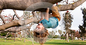 Spring banner. Childhood leisure, happy kids climbing up tree and having fun in summer park. Kid boy playing and