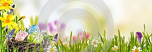 Spring banner with Easter Eggs photo