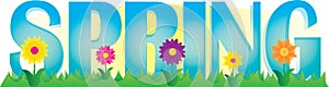 Spring Banner with flowers and grass photo