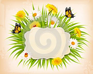 Spring banner with grass, flowers and butterflies.