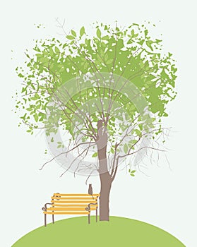 Spring banner with green tree, bench and cat