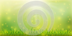 Spring  banner template with grass on colorful background. Card for spring season with lights and green nature. EPS 10