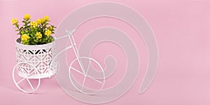 Spring banner, toy bike with potted flowers in basket on pink background, copy space for design. Flower delivery minimal