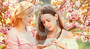 Spring banner with women girlfriends outdoor. Two Beauty spring girls with blooming sakura cherry Flovers.