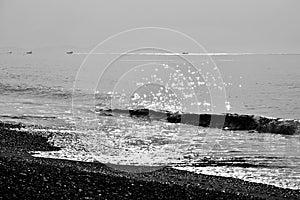 Spring beach / Japanese landscape in March