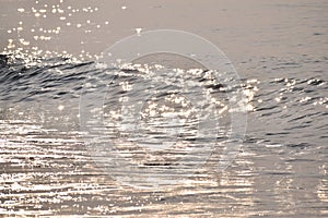 Spring beach / Japanese landscape in March