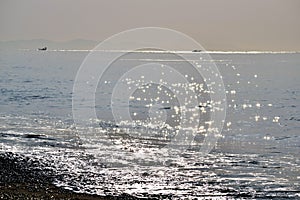 Spring beach / Japanese landscape in March