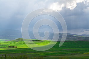 Spring beautiful farmland